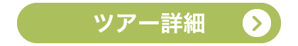 森の京都アクティビティツアー詳細