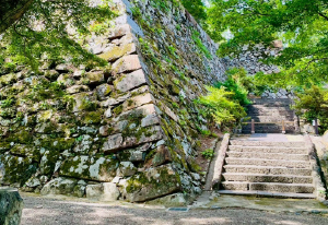 明智光秀足跡ツアー