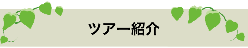 ツアー紹介