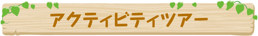 アクティビティツアー